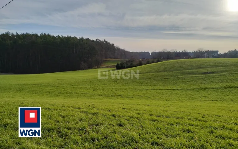 Grunt budowlany jednorodzinny na  sprzedaż Gaj Grzmięca - Działka budowlana na Pojezierzu Brodnickim