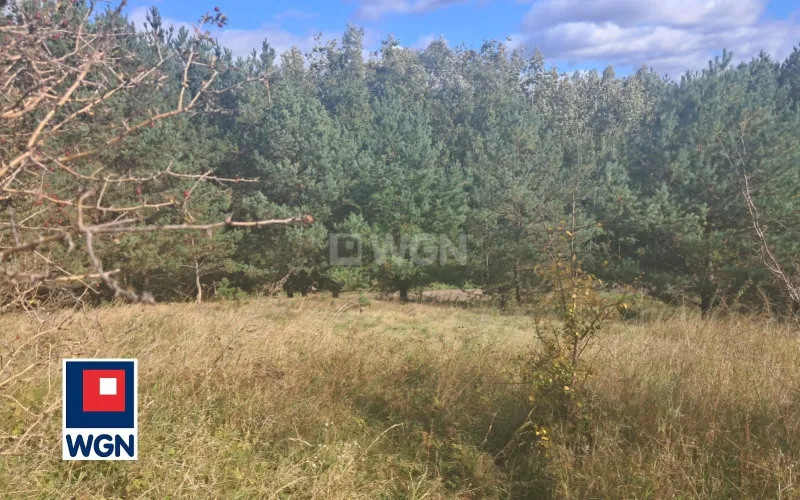 Grunt budowlany jednorodzinny na  sprzedaż Szabda - JEDNA DZIAŁKA ? MOŻLIWOŚĆ BUDOWY DWÓCH DOMÓW!